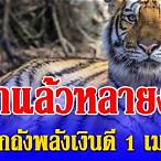 เลขเสือตกถัง